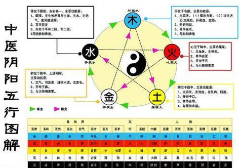 金生水 五行|金为什么生水、为什么金生水